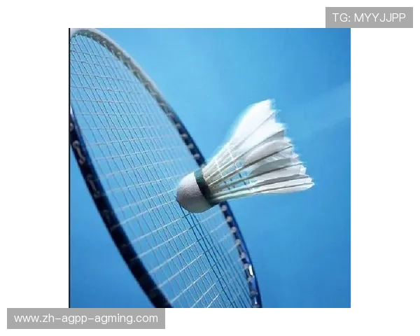 羽毛球球托是啥