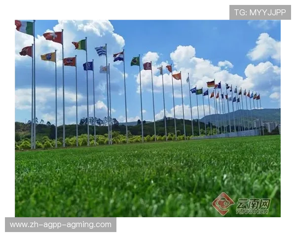 高原足球训练对冲刺能力与耐力的双向提升